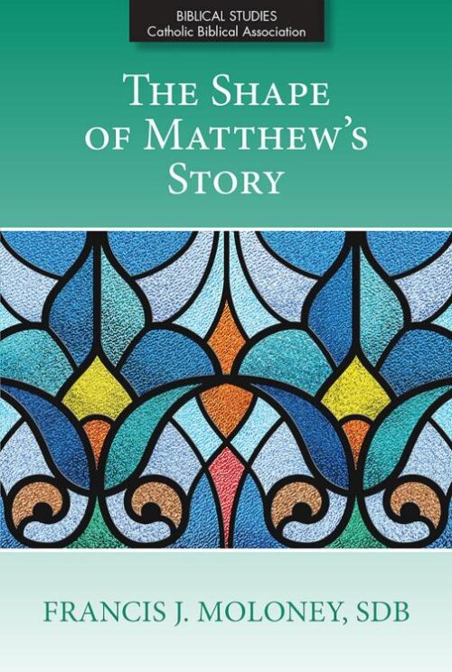 9780809155989 Shape Of Matthews Story