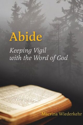 9780814633830 Abide : Keeping Vigil With The Word Of God