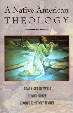 9781570753619 Native American Theology